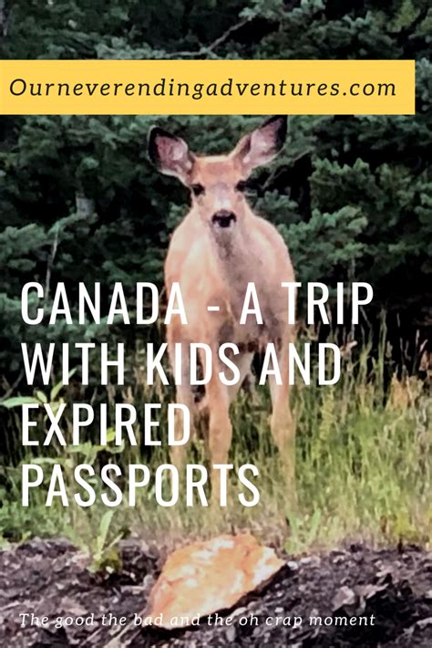 You must log in or register to reply here. . Expired passport travel to canada